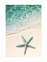 Yeşil Deniz Yıldızı - Art Print